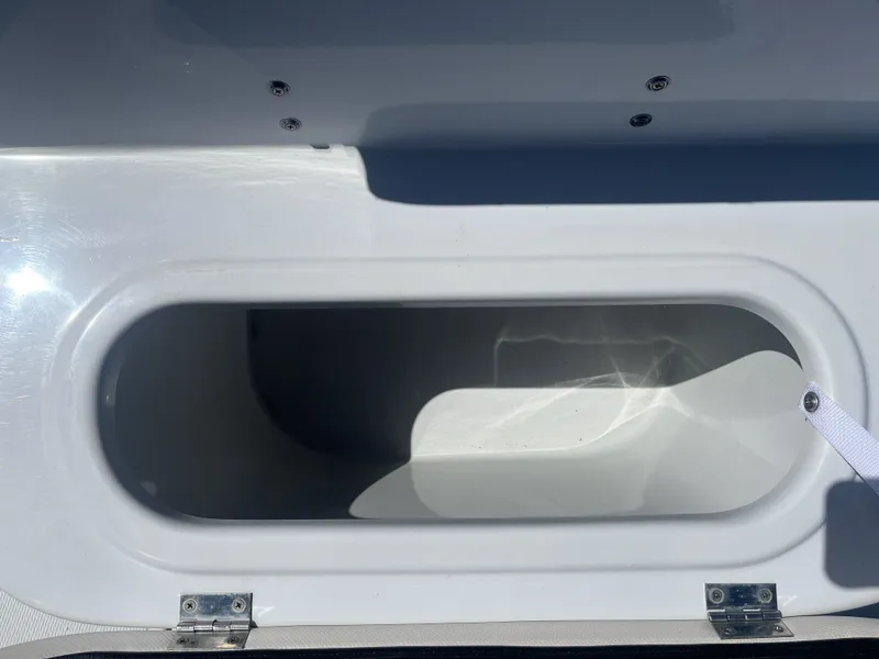 Slide: The Image of Blue Wave 1900STL 2021 - 19