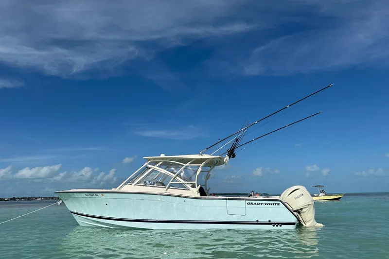 The Image of 2024 Grady-White Freedom 307 boat on calm water under clear blue sky. - 0