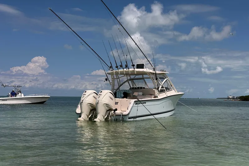 Slide: The Image of 2024 Grady-White Freedom 307 boat with dual engines on calm water. - 11