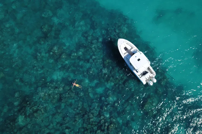 Slide: The Image of Aerial view of 2024 Grady-White Freedom 307 boat on clear turquoise water. - 14