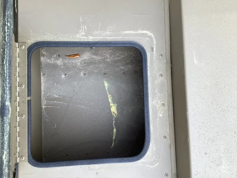 Slide: The Image of G3 Gator Tough 17 SC 2026 - 24