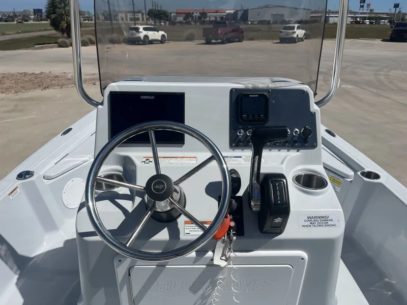 Slide: The Image of Blue Wave 1900STL 2021 - 26