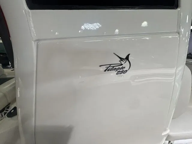 Slide: The Image of Pioneer Pelagic 250 2026 - 27