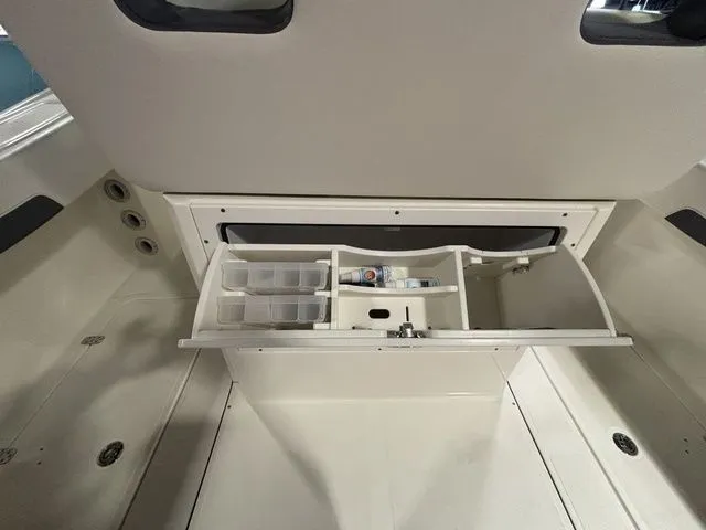 Slide: The Image of Pioneer Pelagic 250 2026 - 47