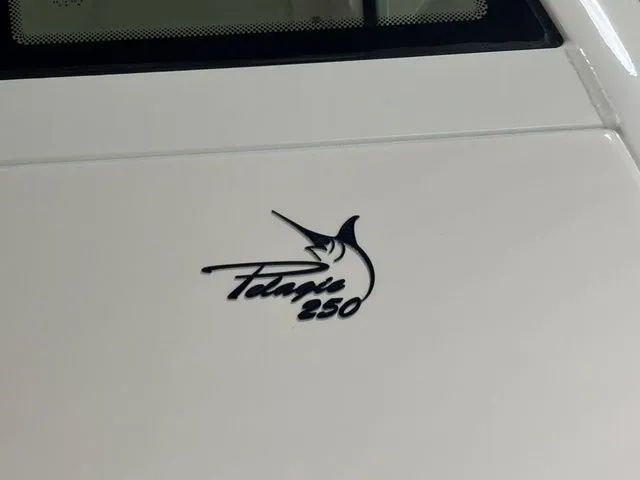 Slide: The Image of Pioneer Pelagic 250 2026 - 7