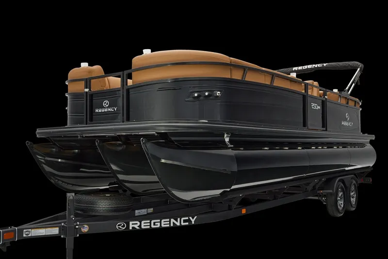 Slide: The Image of Regency 250 DL 2026 - 22