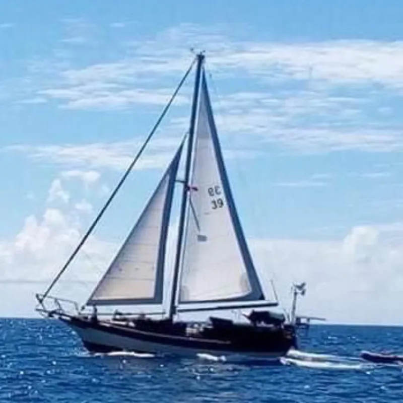 The Image of Sailing Kadey-Krogen 38 Dual Centerboard, 1982, on open ocean under clear blue sky. - 0