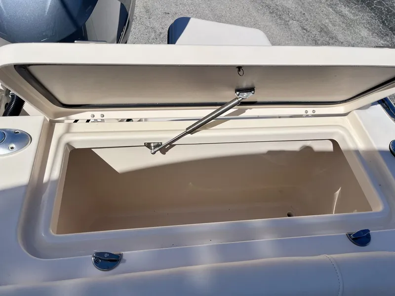 Slide: The Image of Grady-White Freedom 235 2020 - 33