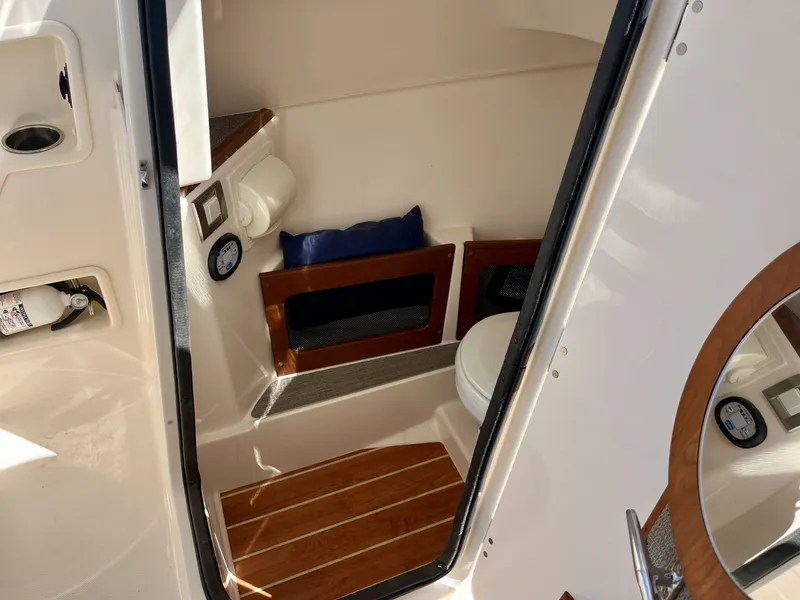 Slide: The Image of Grady-White Freedom 235 2020 - 40