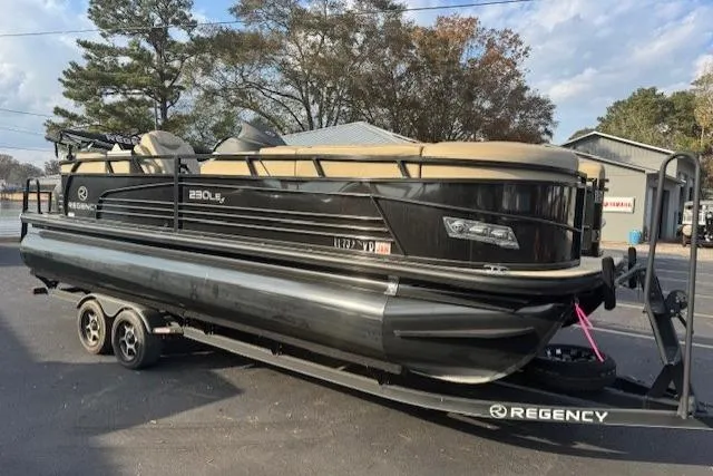 The Image of 2019 Regency 230 LE3 pontoon boat on trailer, parked outdoors. - 10