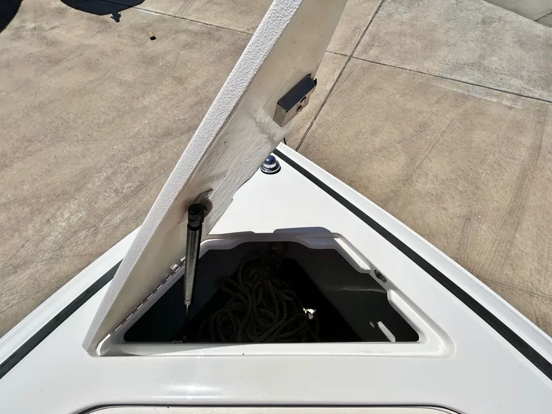 Slide: The Image of Cobalt 226 2001 - 17