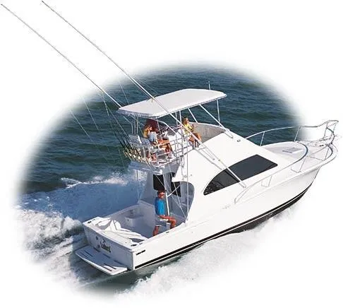 The Image of Manufacturer Provided Image - 0