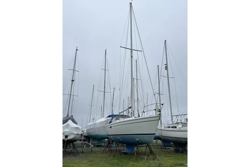 The Image of 1995 Catalina 36 MkII sailboat on stands, surrounded by other boats in a marina. - 0