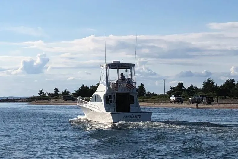 Slide: The Image of 1988 Luhrs Tournament 320 Convertible boat cruising near a scenic shoreline. - 4