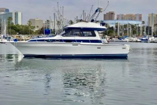 The Image of 1988 Mediterranean 38 Convertible yacht docked in a marina with cityscape background. - 0