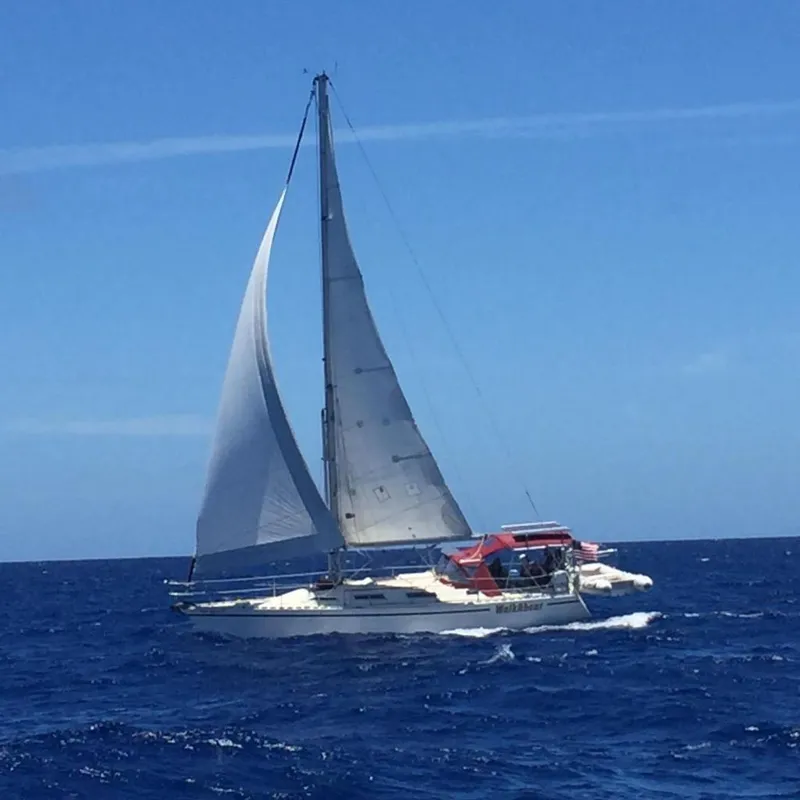 The Image of 1989 Gib'Sea 37 sailboat navigating open sea. - 0