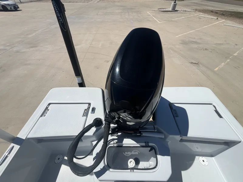 Slide: The Image of Blue Wave 1900STL 2021 - 20