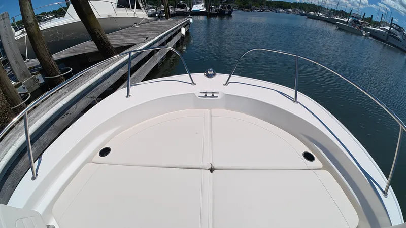 Slide: The Image of Boston Whaler 210 Montauk 2026 - 21