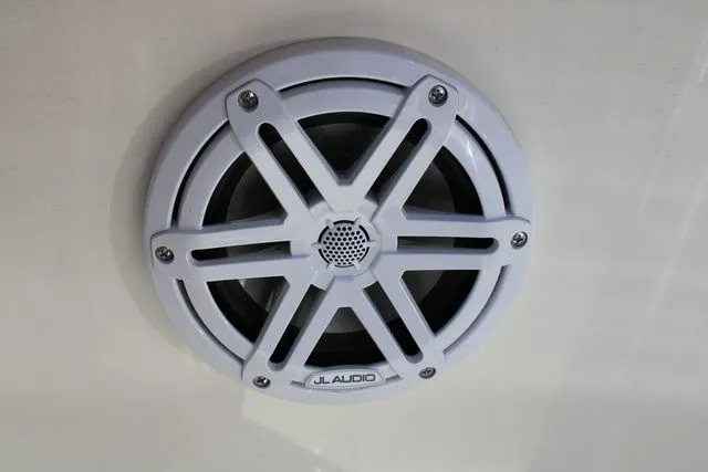 Slide: The Image of Pioneer 202 Islander 2026 - 17