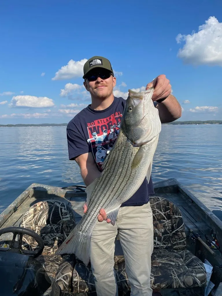 Slide: The Image of Triton 17 C TX 2015 - 25