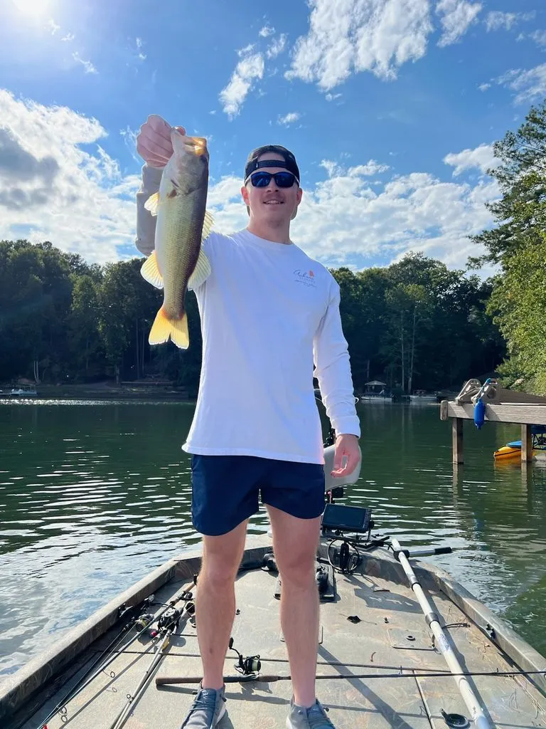 Slide: The Image of Angler on Triton 17 C TX boat holding a caught fish. - 29