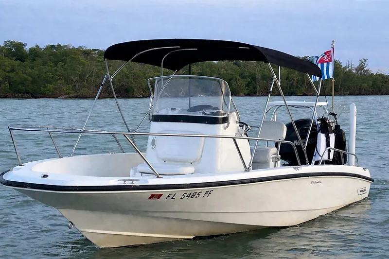 The Image of 2012 Boston Whaler 200 Dauntless boat on water with canopy and flag. - 0