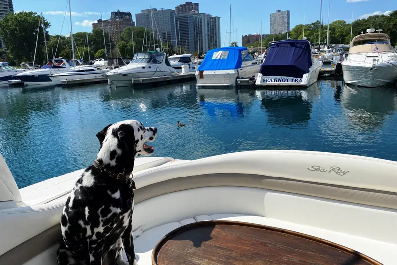 Slide: The Image of Cockpit Seating - 8