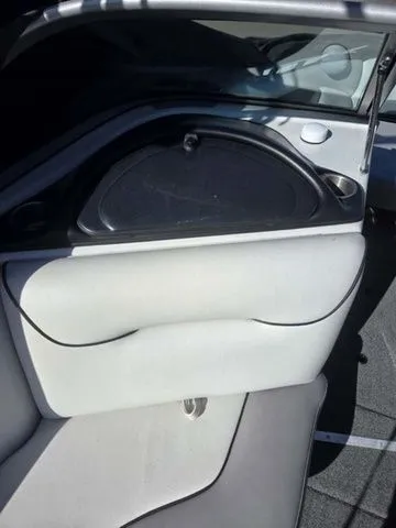 Slide: The Image of Sanger V215 2011 - 9