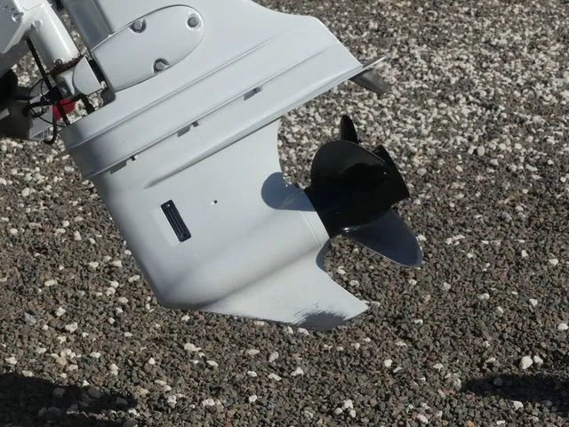 Slide: The Image of Stingray 191 DC 2022 - 10