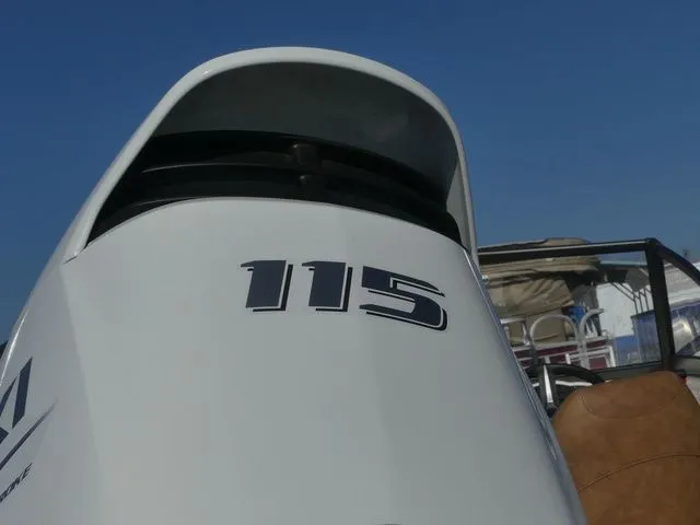 Slide: The Image of Stingray 191 DC 2022 - 11