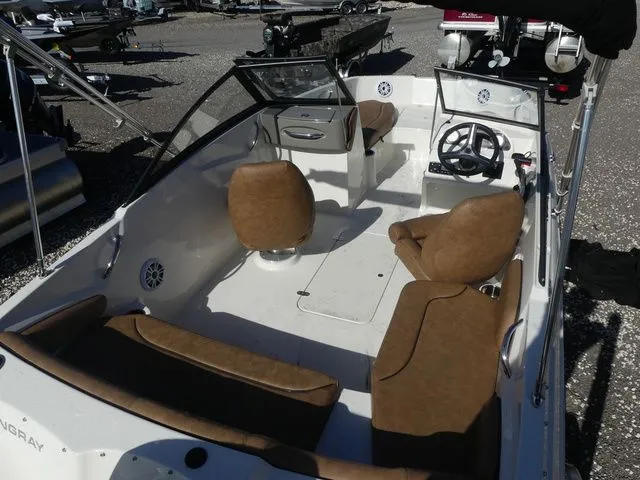 Slide: The Image of Stingray 191 DC 2022 - 12