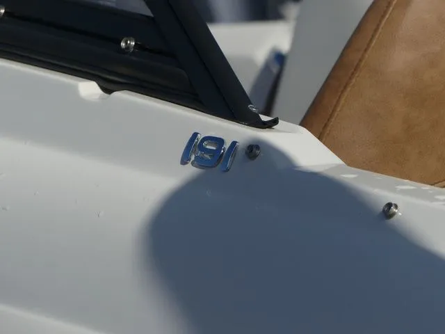 Slide: The Image of Stingray 191 DC 2022 - 8