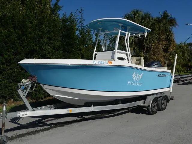 The Image of Release RX 210 2019 - 1