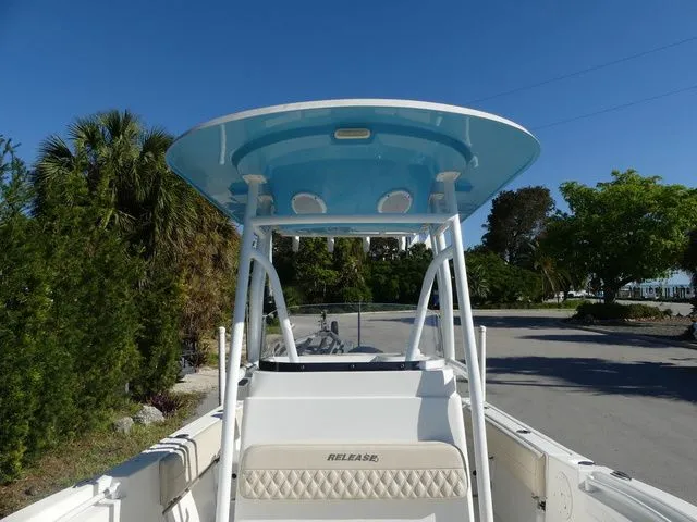 Slide: The Image of Release RX 210 2019 - 12