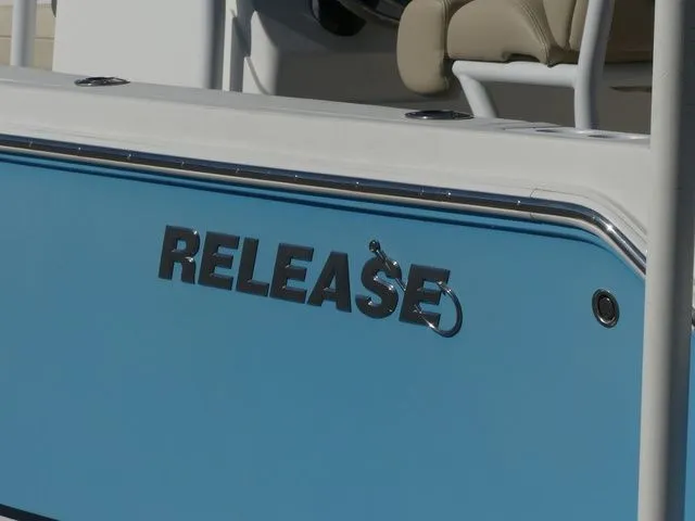 Slide: The Image of Release RX 210 2019 - 7