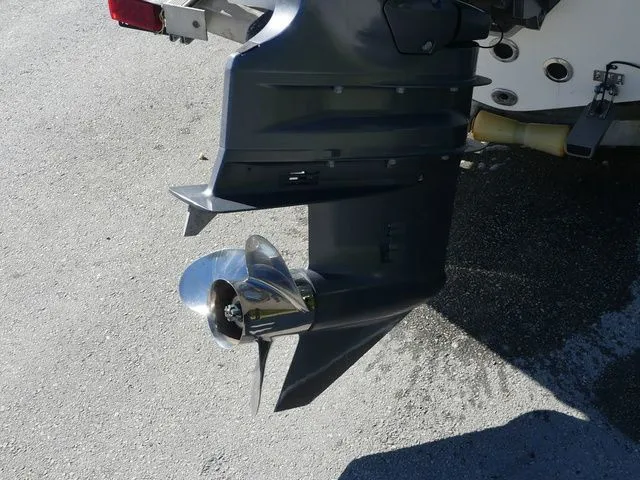 Slide: The Image of Release RX 210 2019 - 9