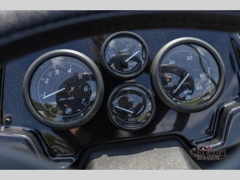 Slide: The Image of Sport 175 MAX 2025 - 14