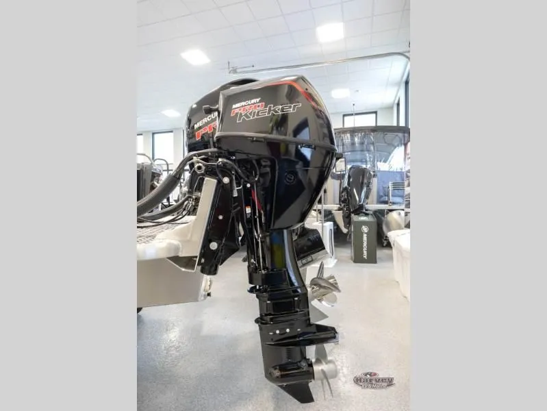 Slide: The Image of Heavy Gauge 185 2026 - 4