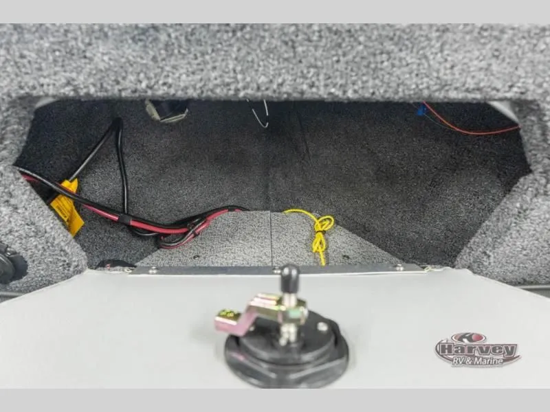 Slide: The Image of TYEE 1975 Sport 2026 - 9