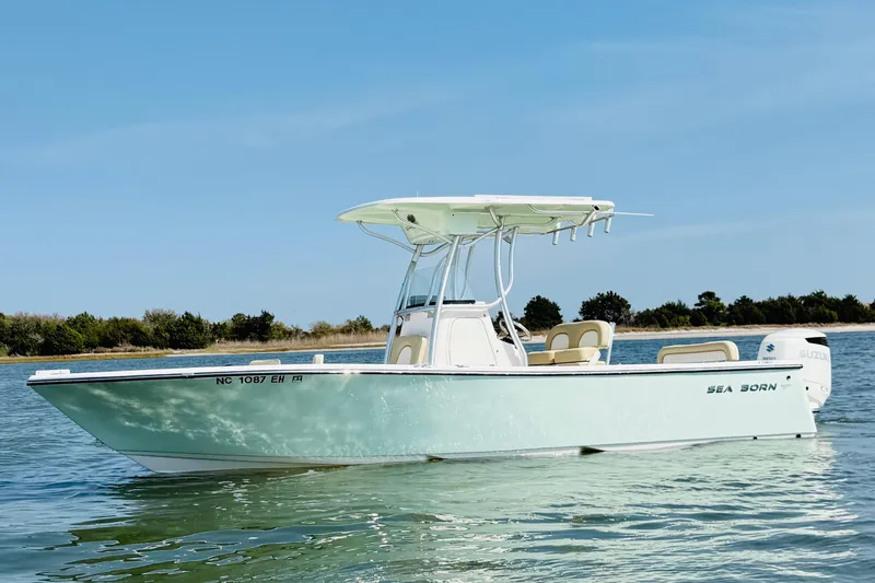 The Image of Sea Born LX24 Center Console 2018 - undefined