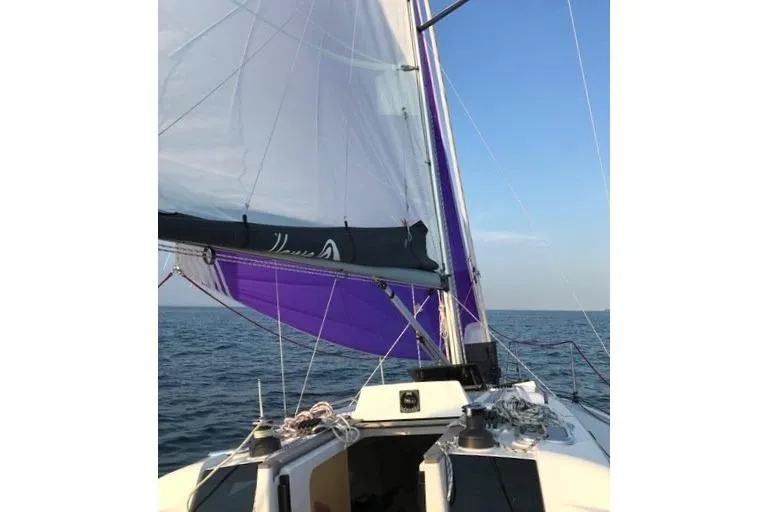 Slide: The Image of Sailing on a 2019 Hanse 315 yacht with vibrant purple sails on open water. - 28