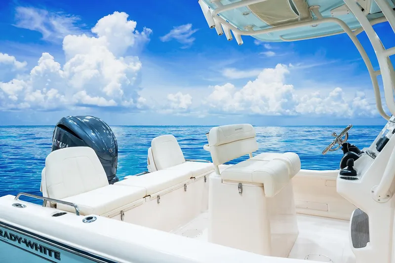 Slide: The Image of Manufacturer Provided Image: 2024 Grady-White 251 Coastal Explorer boat on calm ocean waters. - 2