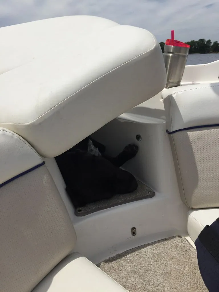 Slide: The Image of Dog sleeping in Rinker 226 Captiva Bowrider boat, 2007. - 3