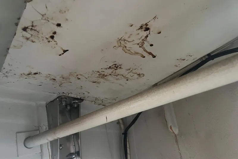 Slide: The Image of Interior view of 1986 Alsberg Brothers Express 37 showing ceiling stains and structural details. - 48