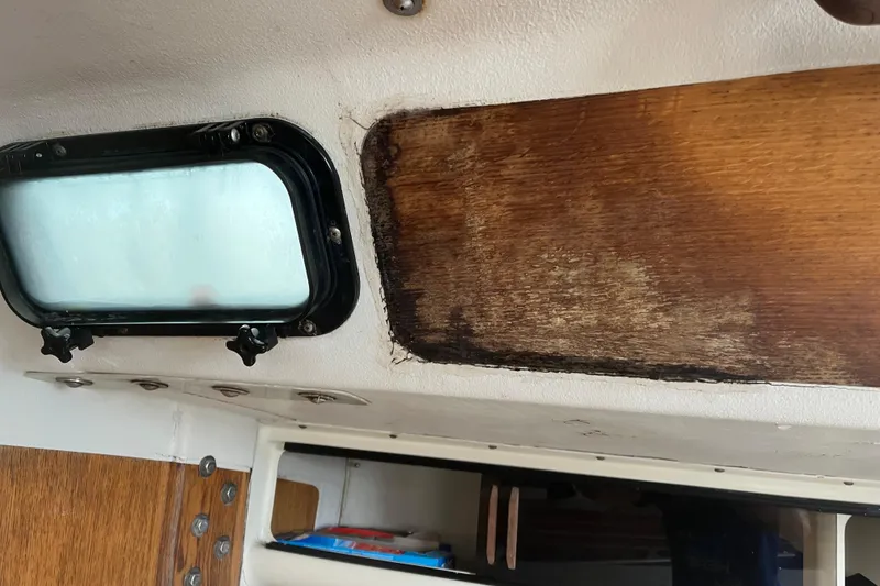 Slide: The Image of Interior of 1986 Alsberg Brothers Express 37 showing window and wood paneling. - 53