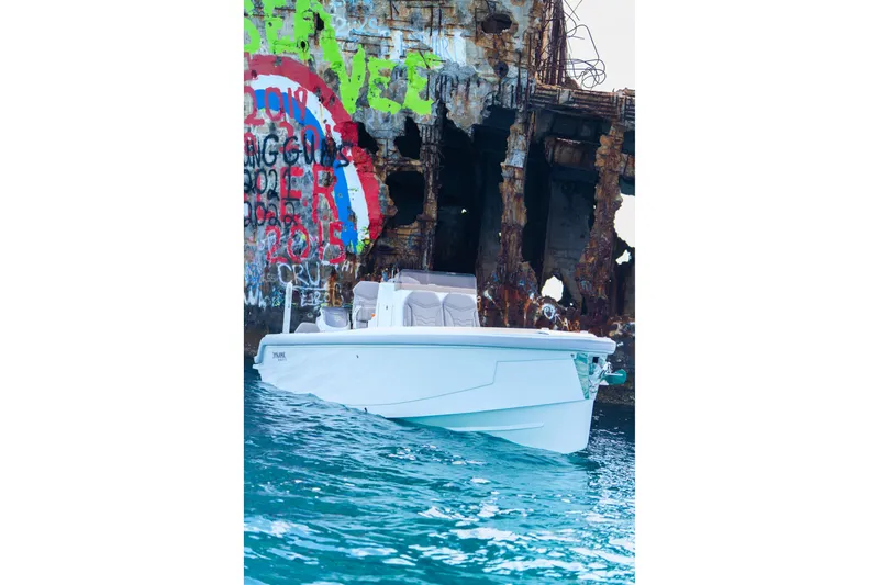 Slide: The Image of Modern Dynamic D-250DF boat near graffiti-covered structure, 2026 model. - 10