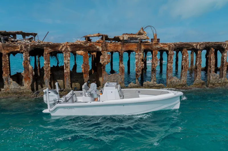 Slide: The Image of Boat cruising near rusted pier, Dynamic D-250DF, 2026 model, in clear turquoise waters. - 12