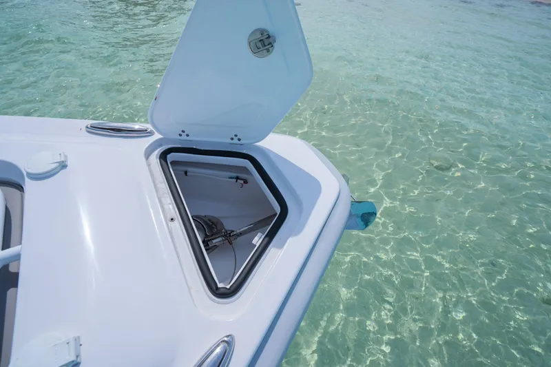 Slide: The Image of Open hatch on Dynamic D-250DF boat, 2026 model, floating on clear turquoise water. - 21