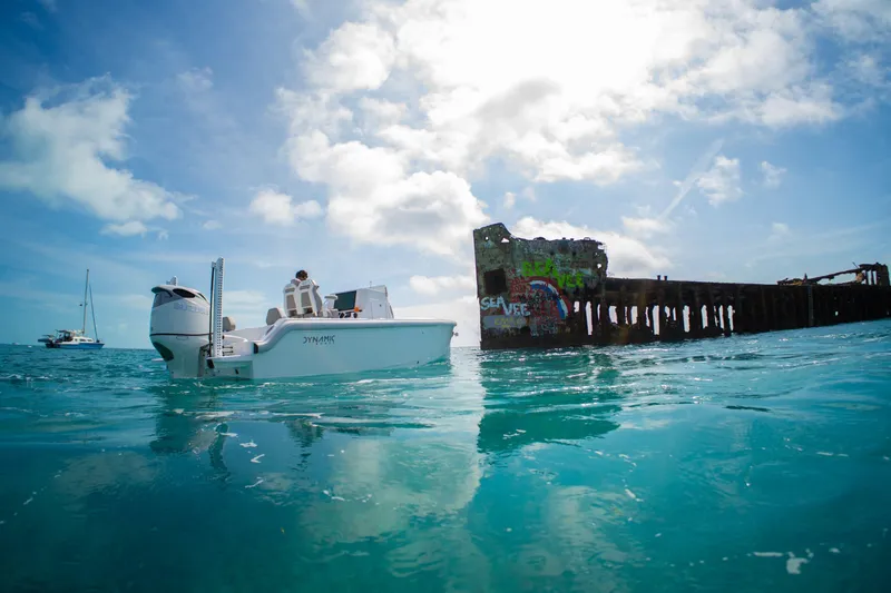 Slide: The Image of A Dynamic D-250DF boat near a graffiti-covered shipwreck in clear blue waters, 2026. - 26