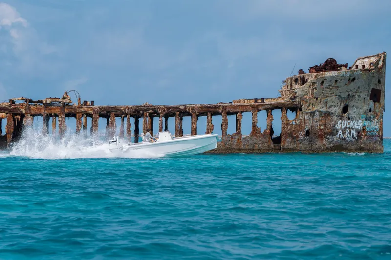 Slide: The Image of A Dynamic D-250DF boat speeds past a rusted shipwreck in clear blue waters. - 29